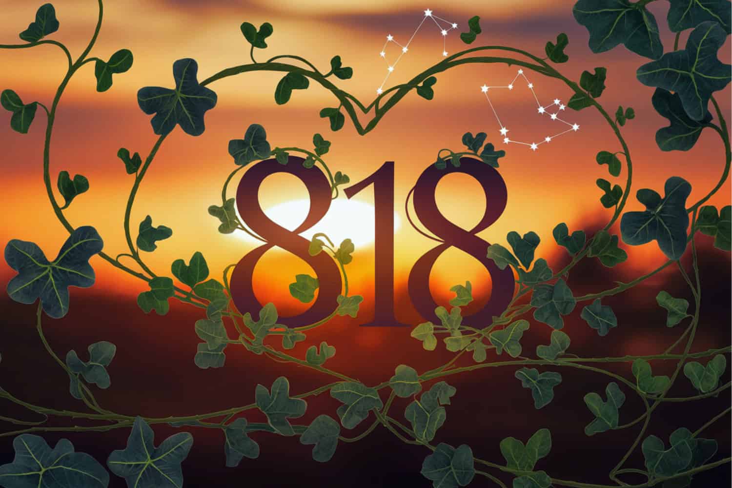 818-angel-number-love